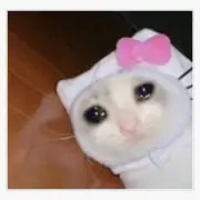 Avatar de Hello Kitty
